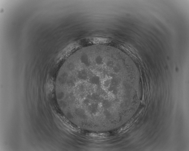 X0000087420367200704271743