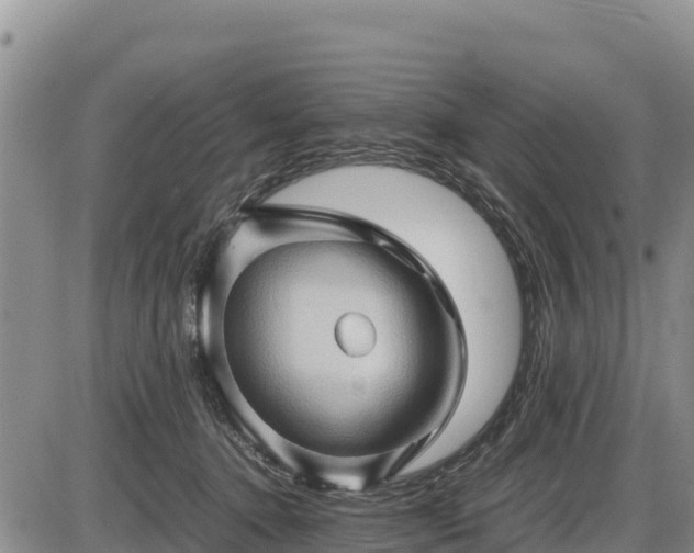 X0000087420368200704271743