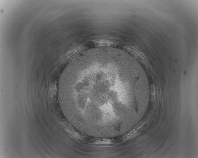 X0000087420369200704271743