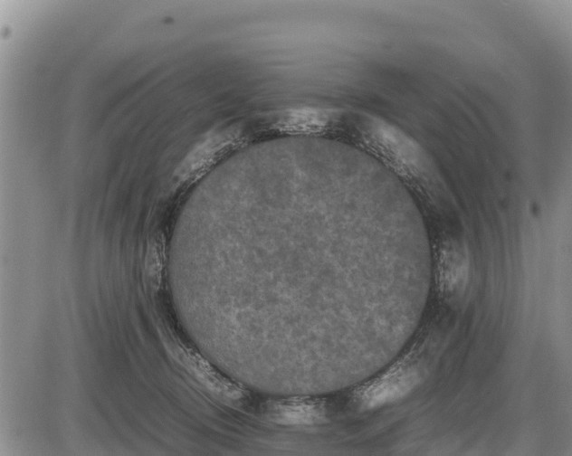 X0000087420370200704271743