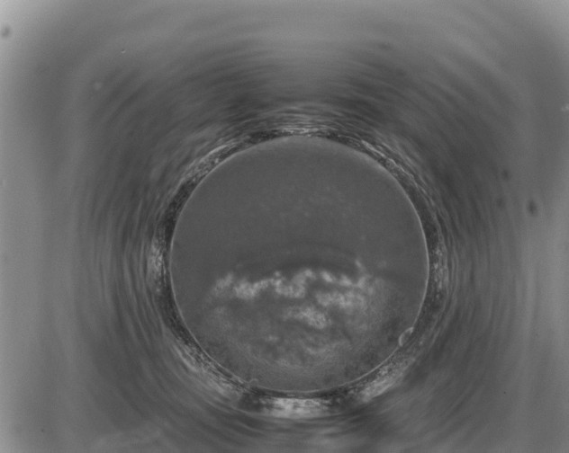 X0000087420371200704271743