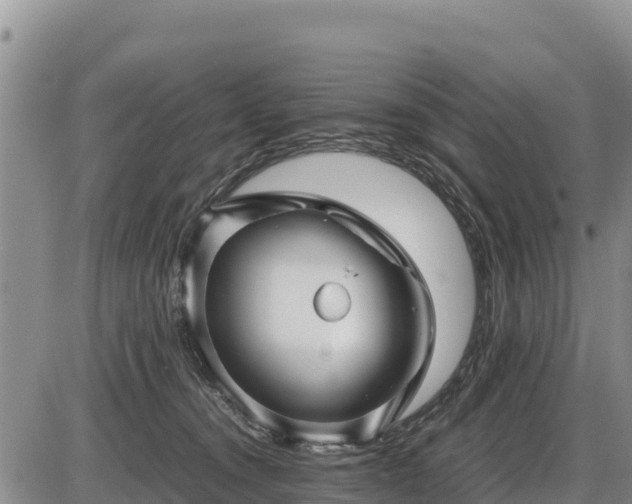 X0000087420372200704271743