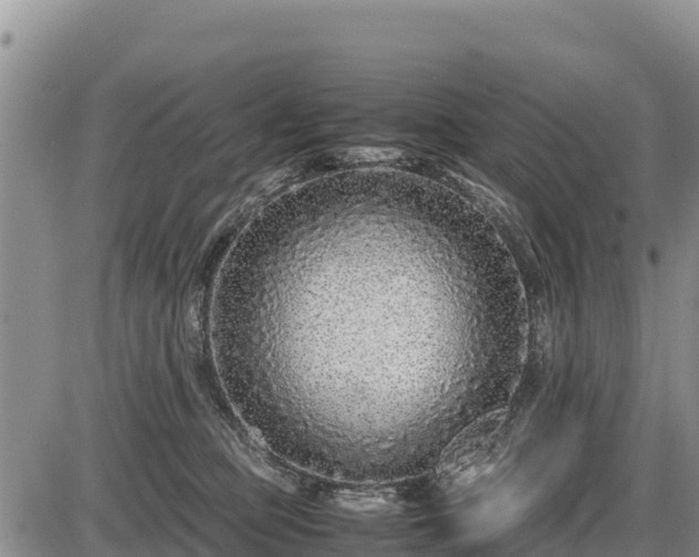 X0000087420373200704271743