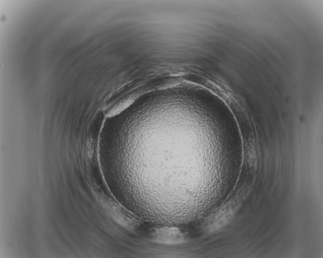 X0000087420374200704271743