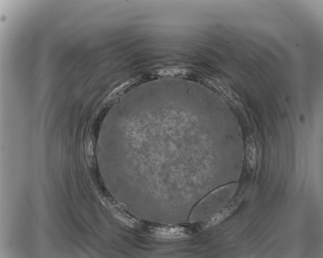 X0000087420375200704271743