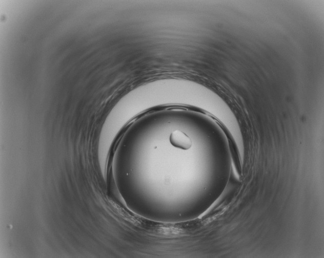 X0000087420376200704271743