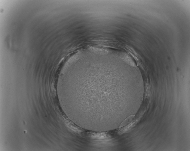 X0000087420377200704271743