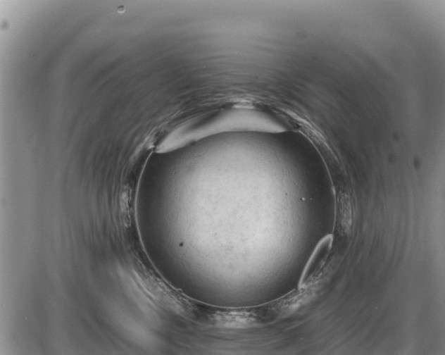 X0000087420378200704271743