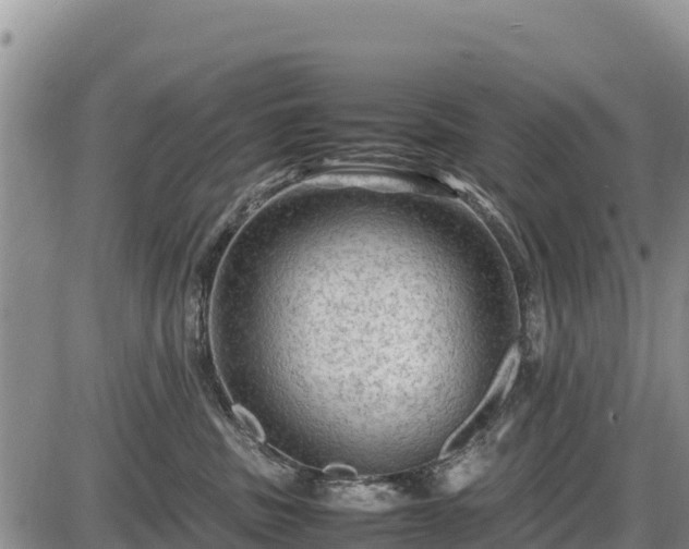 X0000087420379200704271743