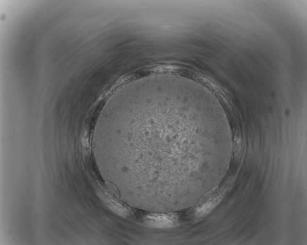 X0000087420381200704271743