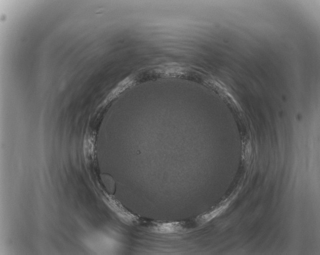 X0000087420382200704271743