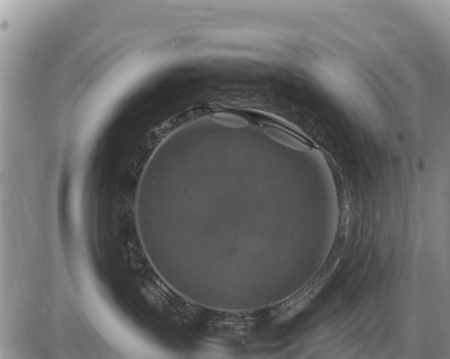 X0000087420383200704271743