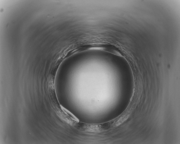 X0000087420384200704271743