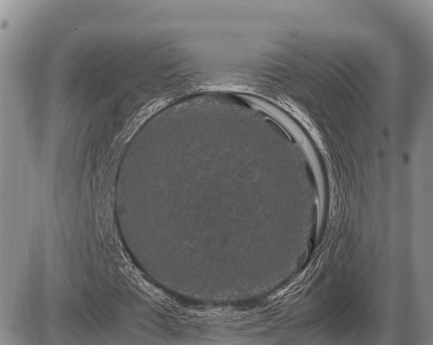 X0000087420385200704271742