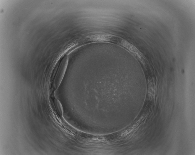 X0000087420386200704271742