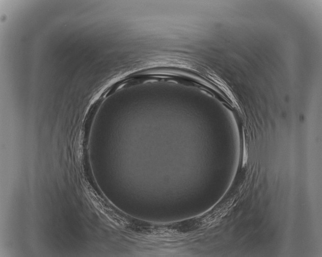 X0000087420387200704271742