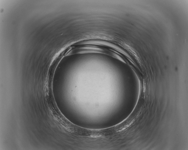 X0000087420388200704271742