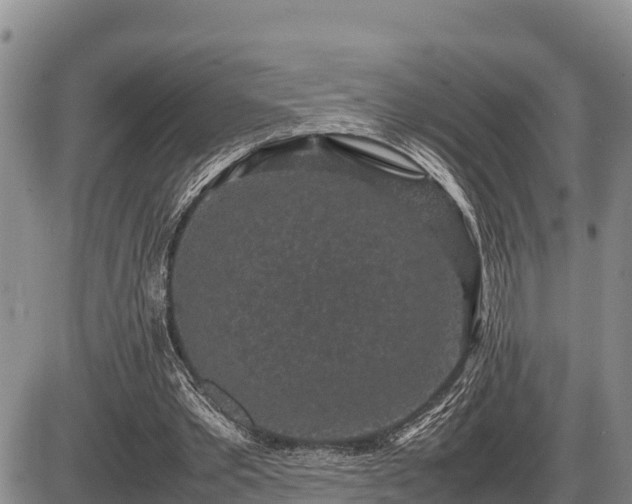 X0000087420389200704271742