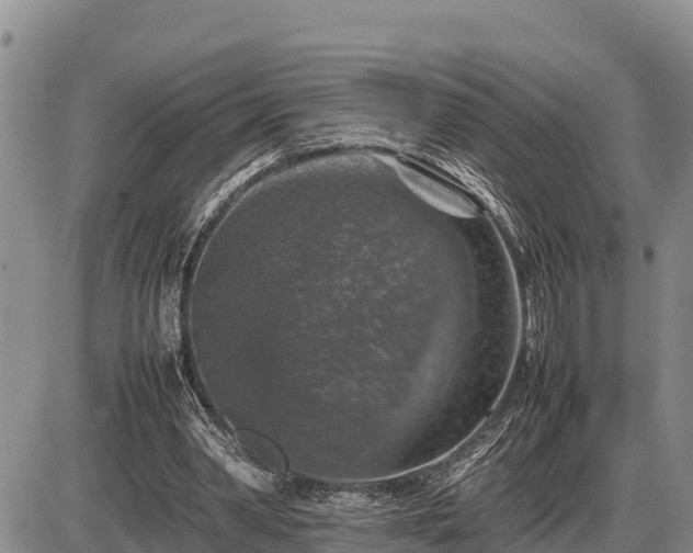 X0000087420390200704271742