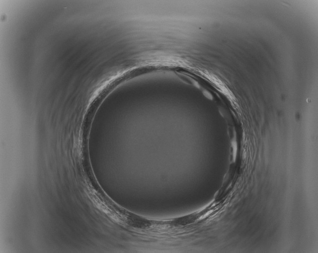 X0000087420391200704271742