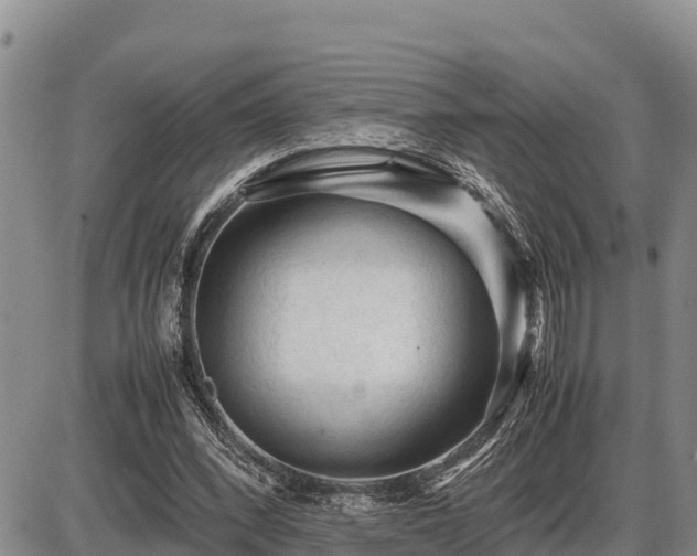 X0000087420392200704271742