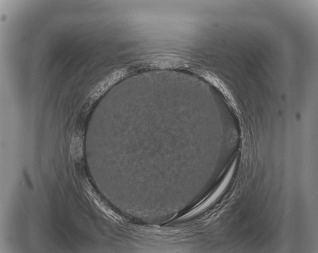 X0000087420393200704271742