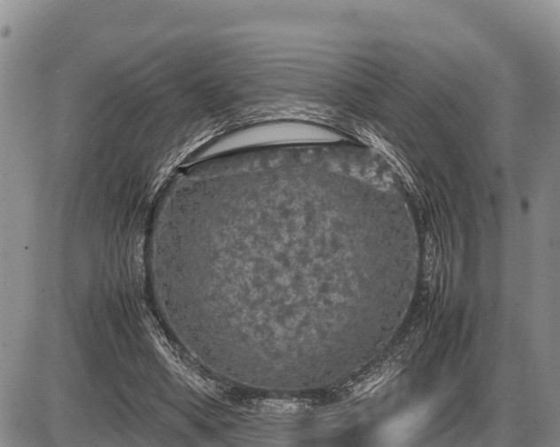 X0000087420394200704271742