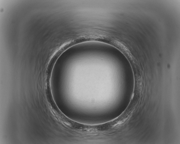 X0000087420395200704271742