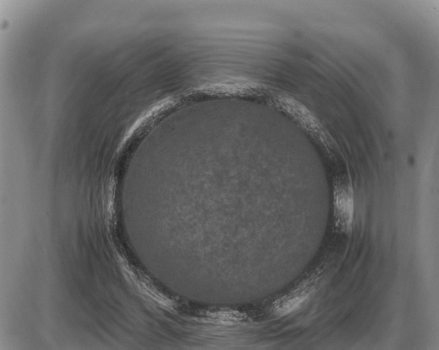 X0000087420396200704271742