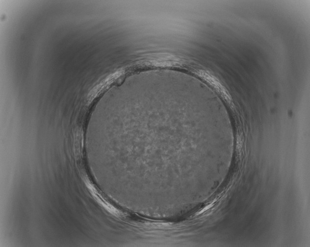 X0000087420397200704271742