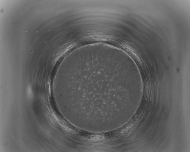 X0000087420398200704271742