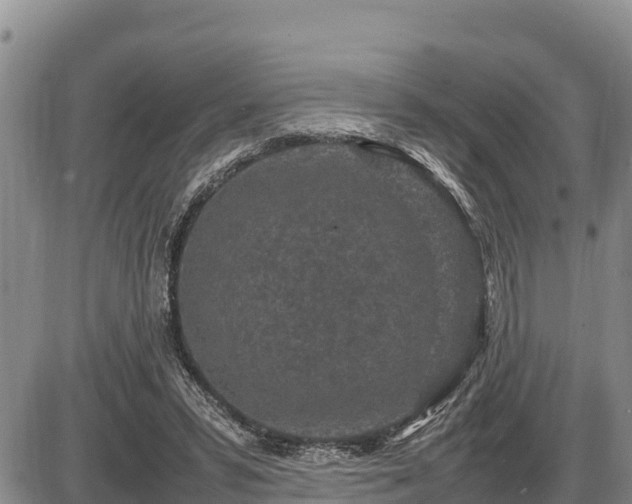 X0000087420399200704271742