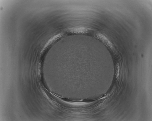 X0000087420400200704271742