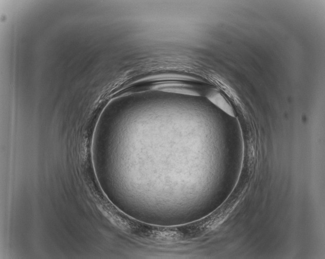 X0000087420401200704271742