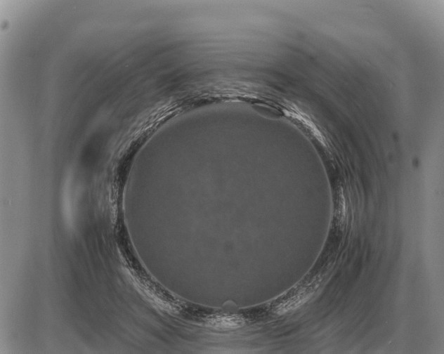 X0000087420402200704271742