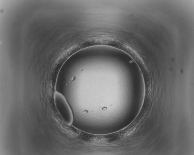 X0000087420403200704271742