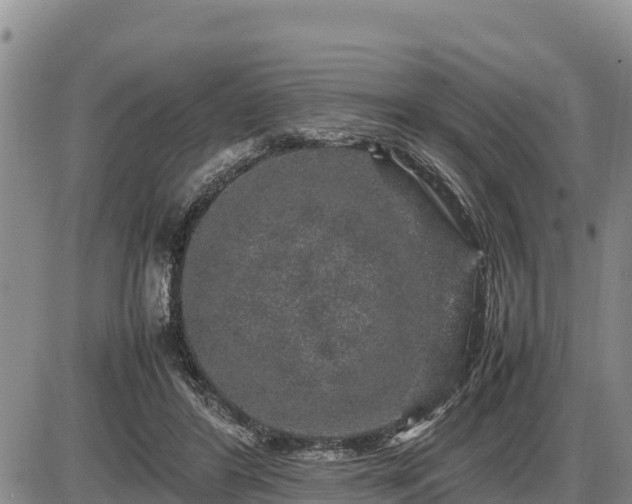 X0000087420404200704271742