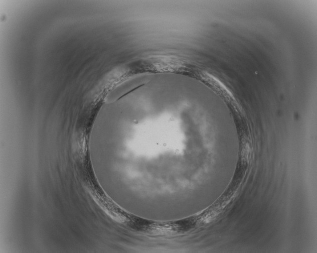 X0000087420405200704271742