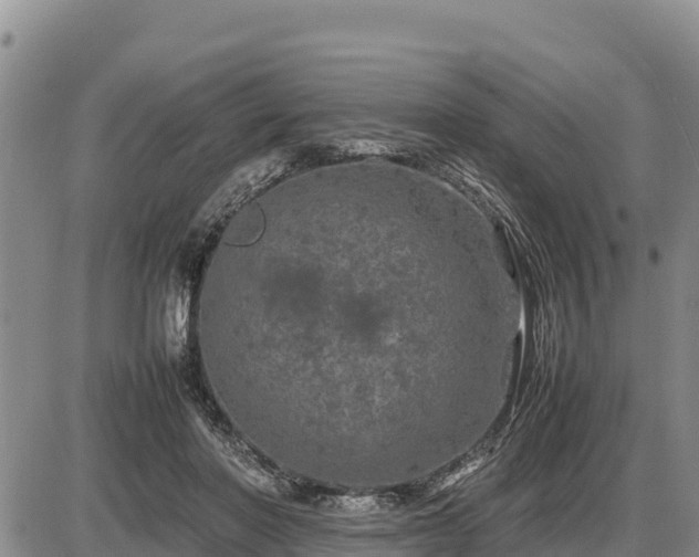 X0000087420406200704271742