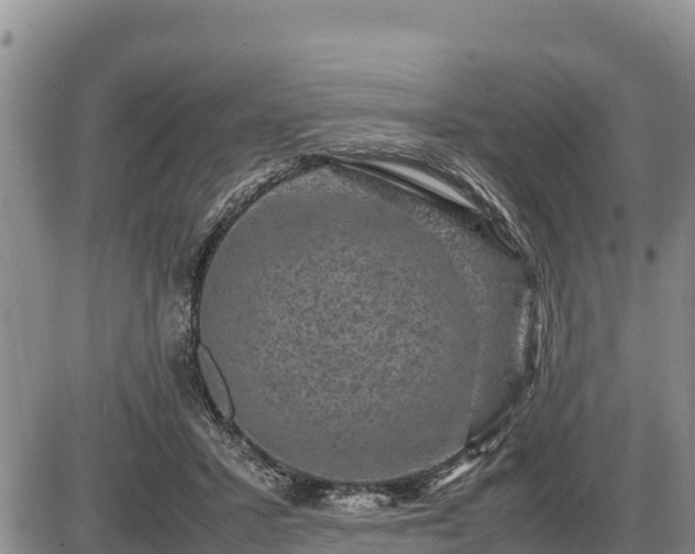 X0000087420407200704271742