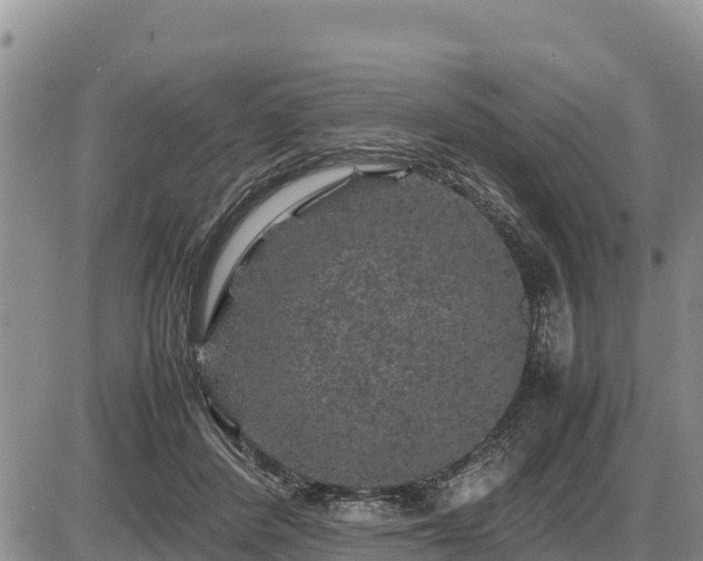 X0000087420408200704271742