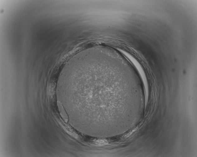 X0000087420409200704271742