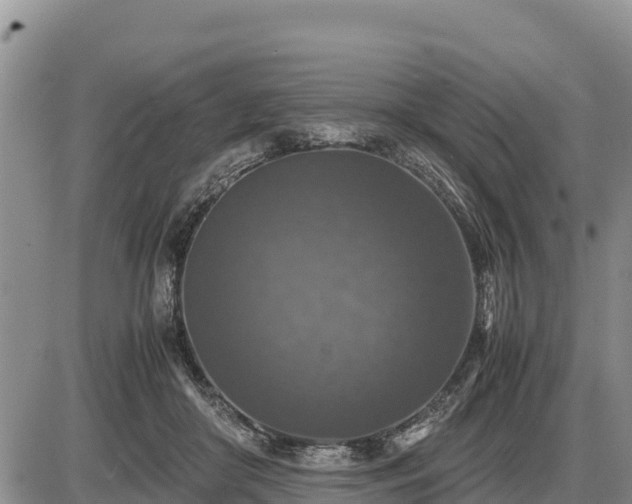 X0000087420410200704271742