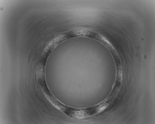 X0000087420411200704271742