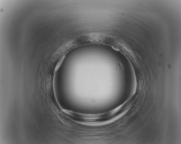 X0000087420413200704271742