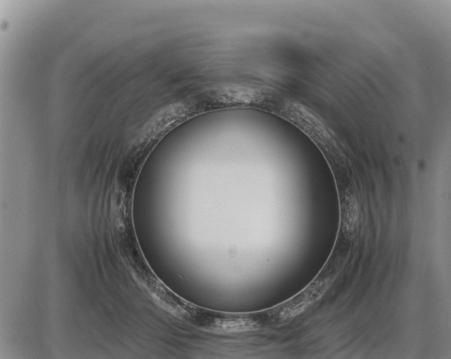 X0000087420414200704271742