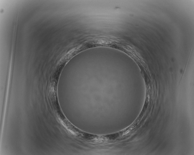 X0000087420415200704271742