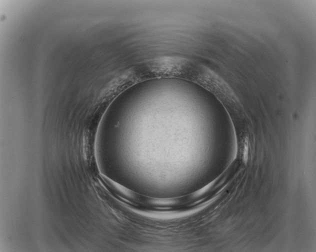 X0000087420416200704271742