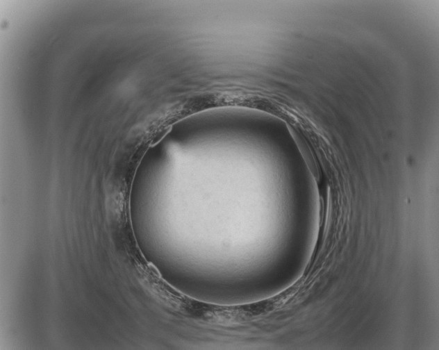 X0000087420417200704271742