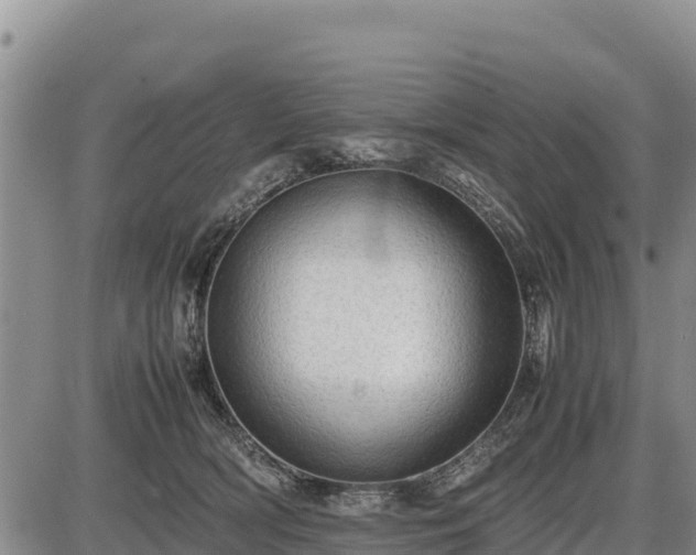 X0000087420418200704271742